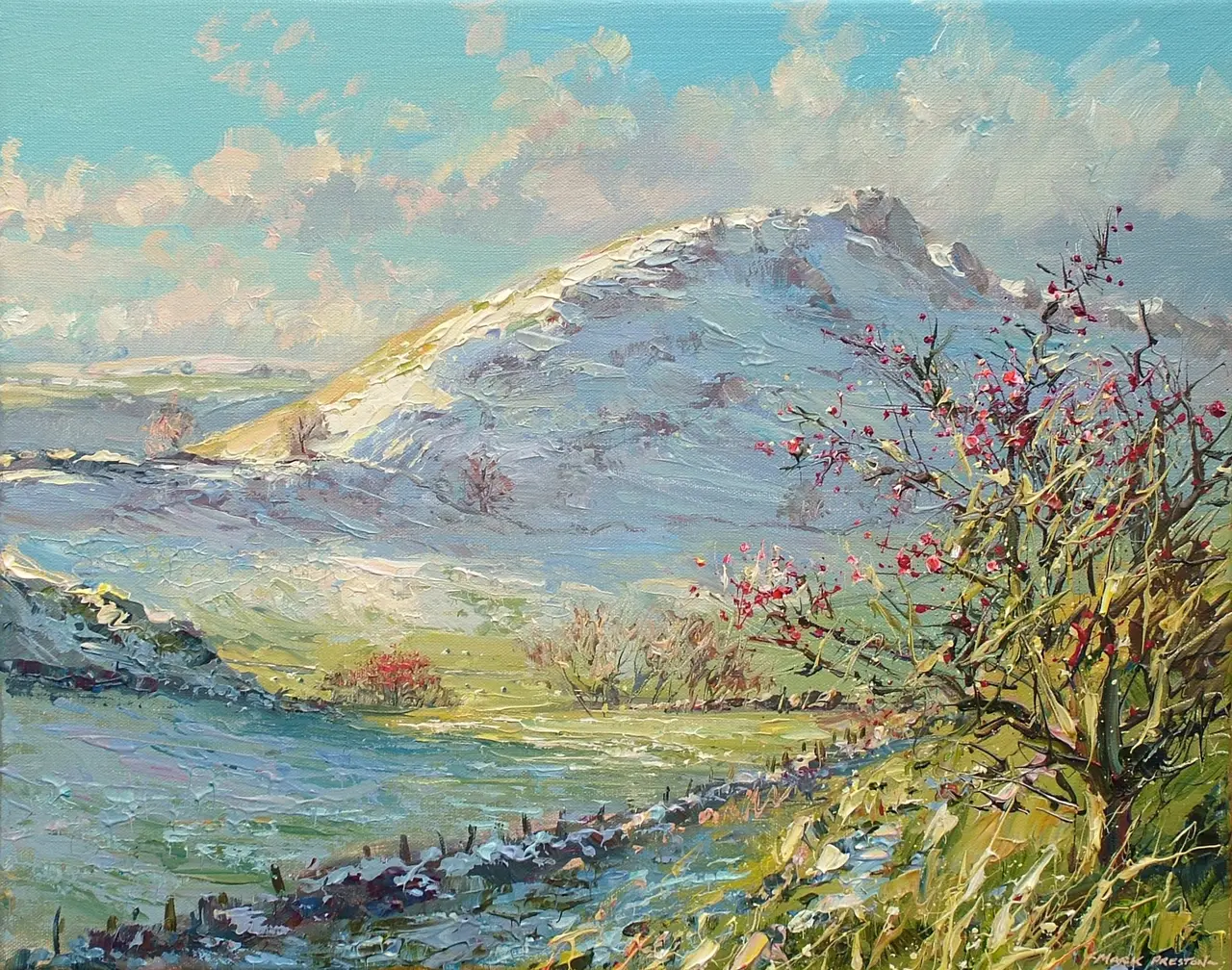 Mark Preston - december snow, chrome hill